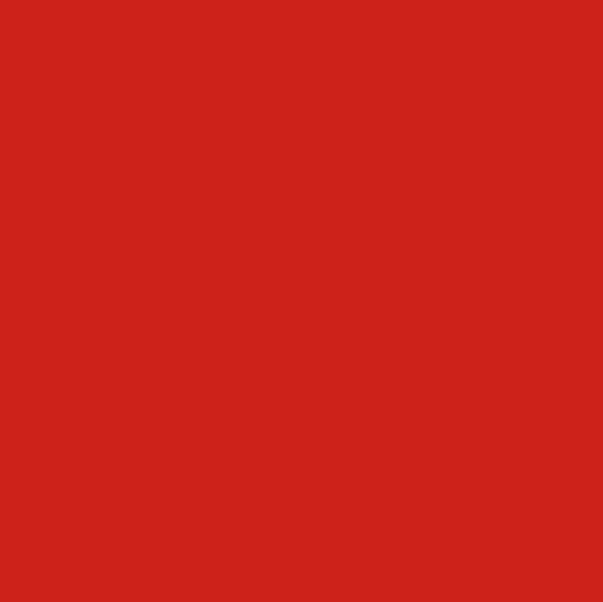 MTN Water Based Deckend Naphthol Red Deep